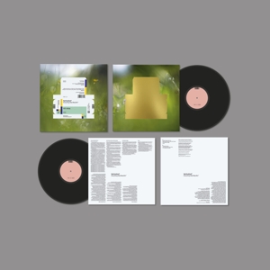 Everything Was Beautiful by Spiritualized