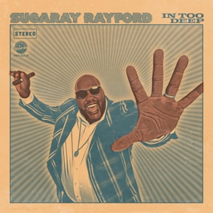 In Too Deep by Rayford, Sugaray