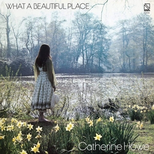 What a Beautiful Place by Howe, Catherine