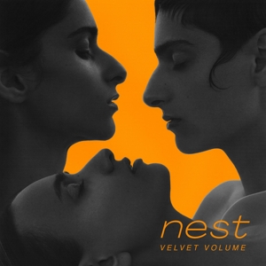 Nest by Velvet Volume
