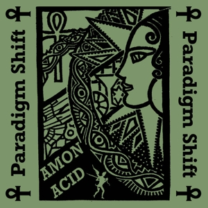 Paradigm Shift by Amon Acid