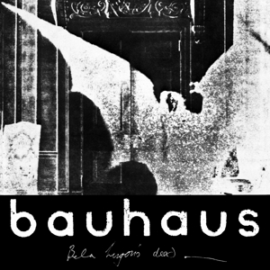Bela Session by Bauhaus