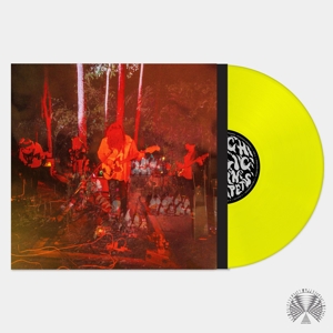 Levitation Sessions by Psychedelic Porn Crumpets