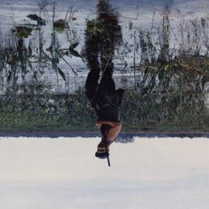 Animal Drowning by Knifeplay