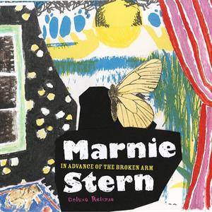 In Advance of the Broken Arm by Stern, Marnie
