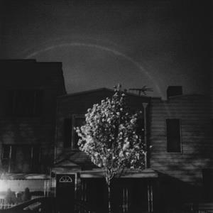 Hands In the Honey Jar by Open City