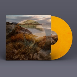 Marram by Carmichael, Matt