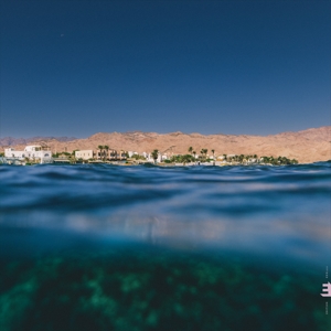 Dahab Days by Luft, Rob