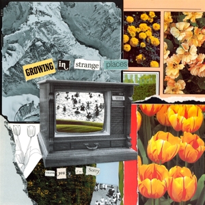 Growing In Strange Places (Orange Crush)