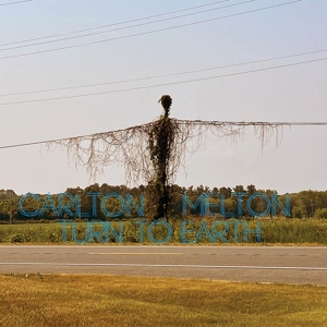 Turn To Earth by Carlton Melton