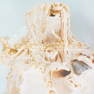 In Ribbons by Pale Saints