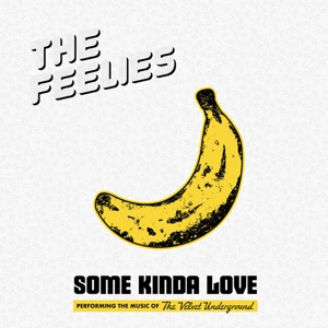 Some Kinda Love: the Music of the Velvet Undergrou by Feelies