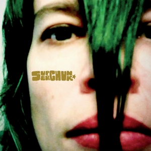 Misfits & Mistakes: Singles, B-Sides & Strays 2007 by Superchunk