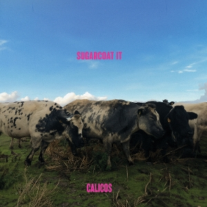 Sugarcoat It by Calicos
