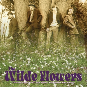 Wilde Flowers by Wilde Flowers