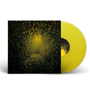 Burst Apart by Antlers