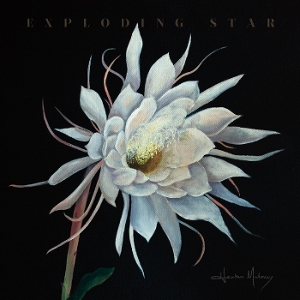 Exploding Star by Maloney, Heather