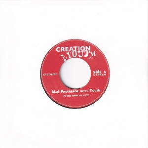 7-In the Name of Love by Mad Professor Meets Youth