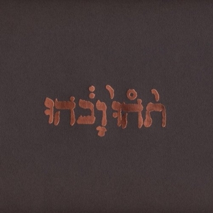 Slow Riot For New Zero Kanada by Godspeed You! Black Em...