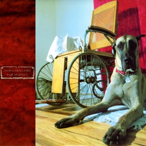 For Respect by Don Caballero