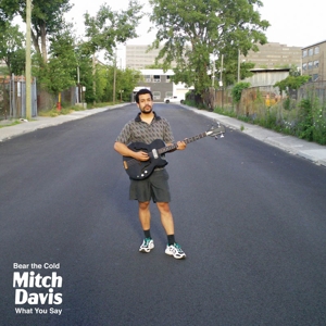 Bear the Cold by Davis, Mitch