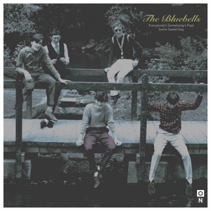 7-Everybody's Somebody's Fool