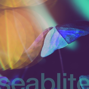 Breadcrumbs by Seablite