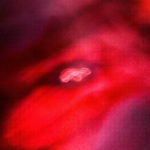 Faded Orbit by Amini, Siavash -& ...