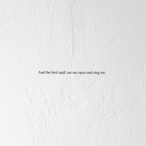 And the Bird Said: Cut Me Open and Sing Me by Prairie