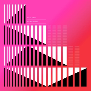 Re_calibrate by Donoso, Ricardo
