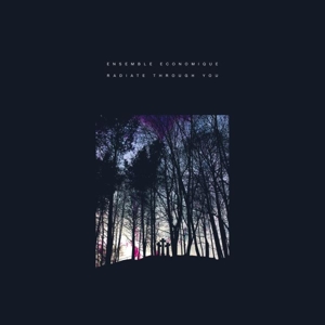 Radiate Through You by Ensemble Economique