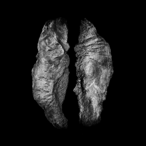 Cause and Effect by Saffronkeira + Mario M...