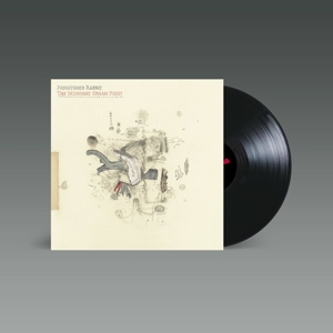 Midnight Organ Fight by Frightened Rabbit
