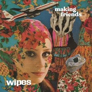 Making Friends by Wipes