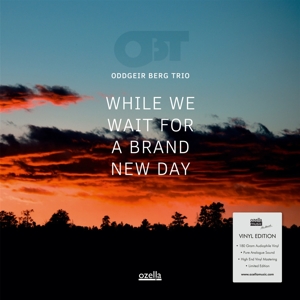 While We Wait For A.. by Berg, Oddgeir -Trio-