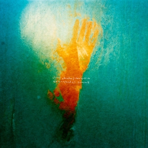 Everybody's Sun by Johnston, James & ...