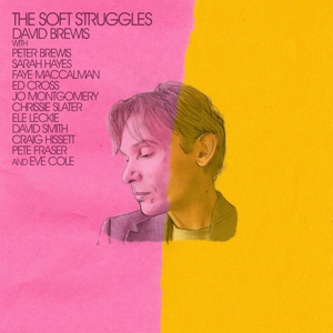 Soft Struggles by Brewis, David