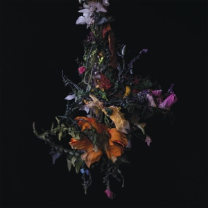 Nature Morte by Big Brave