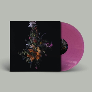 Nature Morte by Big Brave