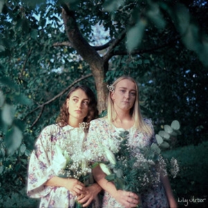 Lily Arbor by Lily Arbor