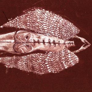 Homb by Cerberus Shoal