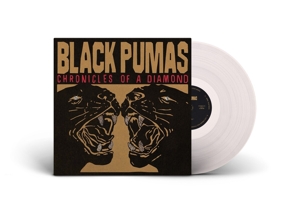 Chronicles of a Diamond by Black Pumas