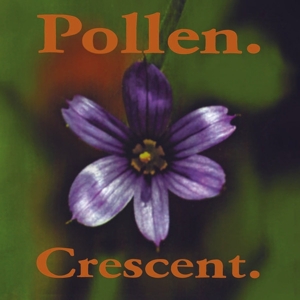 Crescent (Green) by Pollen