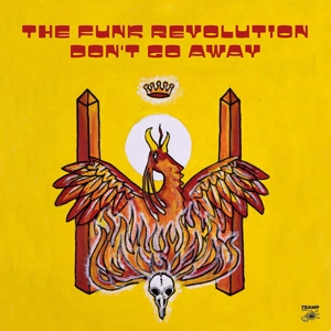 Don't Go Away by Funk Revolution