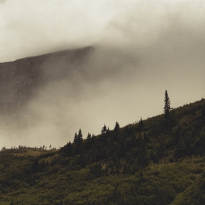 Tohu Wa Bohu by Lord Buffalo