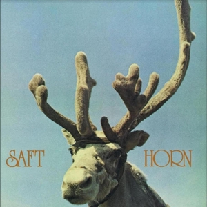 Horn by Saft