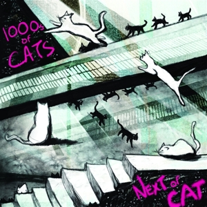 Next of Cat by 1000s of Cats