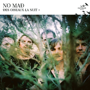 Des Oiseaux La Nuit by No Mad?