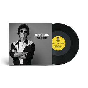 Tribute by Beck Group, Jeff
