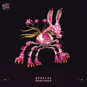 Special Feelings by Special Feelings